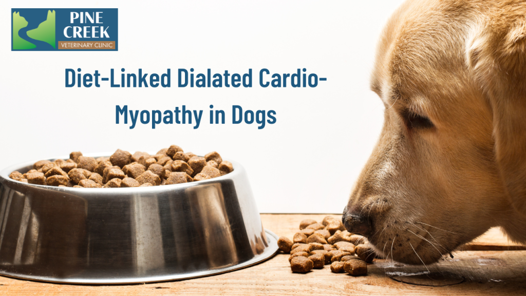 Diet-Linked DCM in Dogs